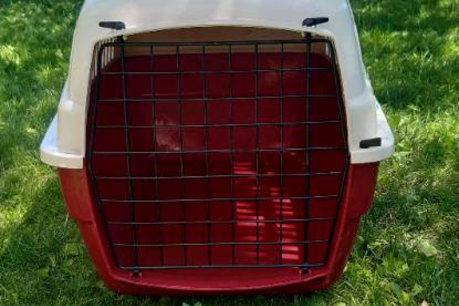 Kleintiertransportbox - Bild 1