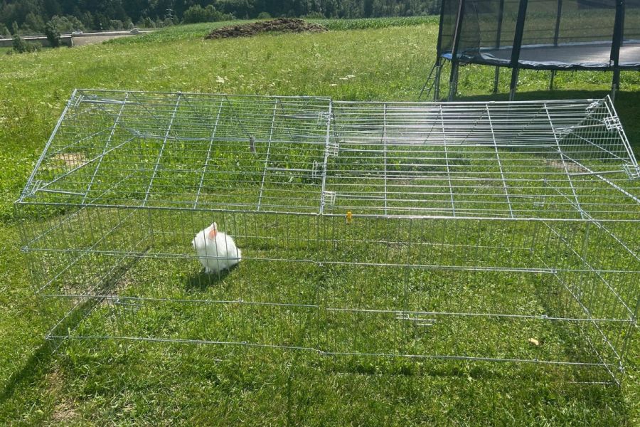 Freilaufgehege für Kaninchen - Bild 1