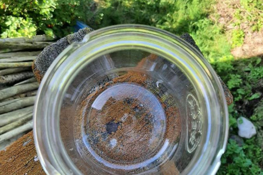 ANKERGLAS Einweckgläser - Bild 4