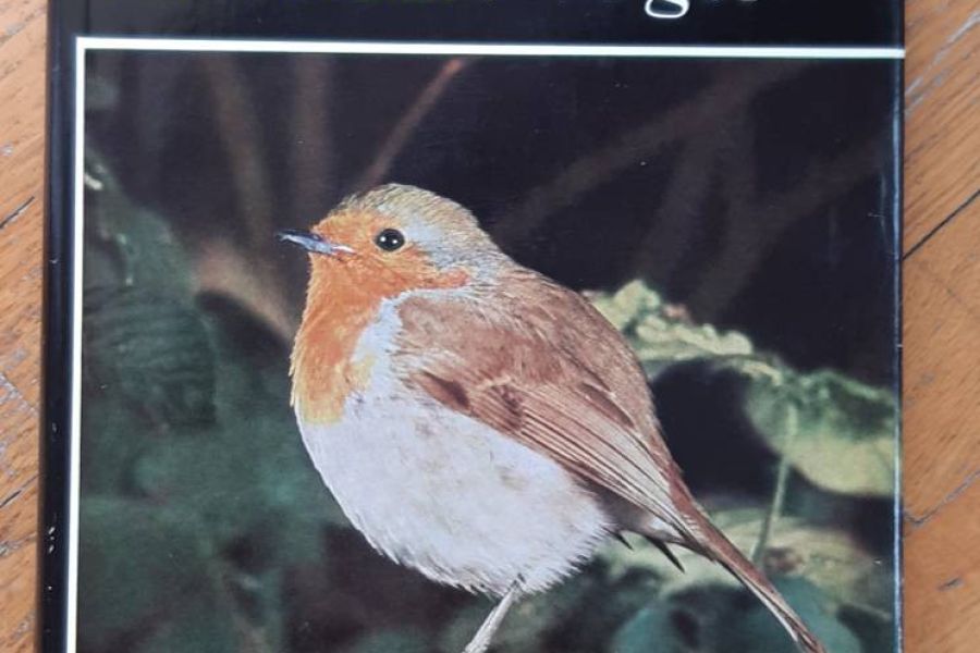 Komplettset: Knaurs Pflanzenreich & Tierreich in Farben – 10 Bände - Bild 2