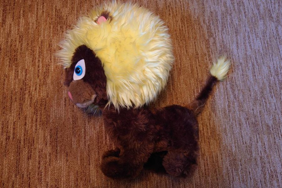 Löwe zu verschenken - Bild 2