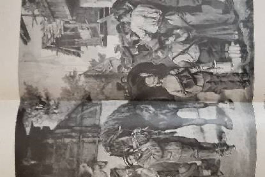 Alte Kräuter und Kunstbuch zu verkaufen - Bild 1