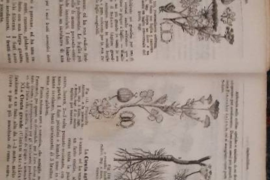 Alte Kräuter und Kunstbuch zu verkaufen - Bild 4