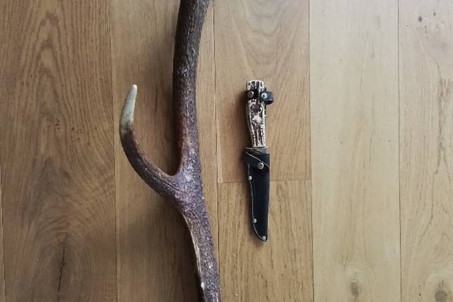 Abwurf Geweih mit Jagdmesser - Bild 1