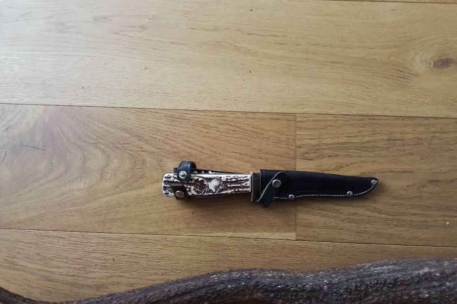 Abwurf Geweih mit Jagdmesser - Bild 3
