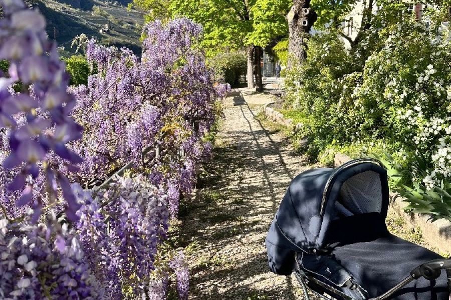Kinderwagen Hesba - Bild 3