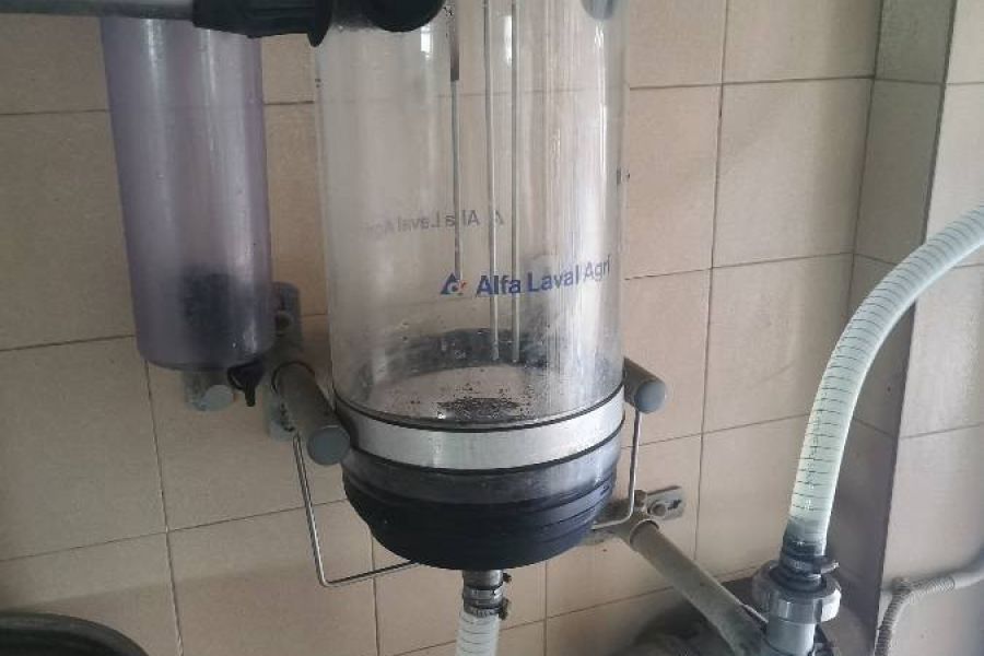 Rohrmelkanlage mit Kühlaggregat und Milchtank zu verkaufen - Bild 1