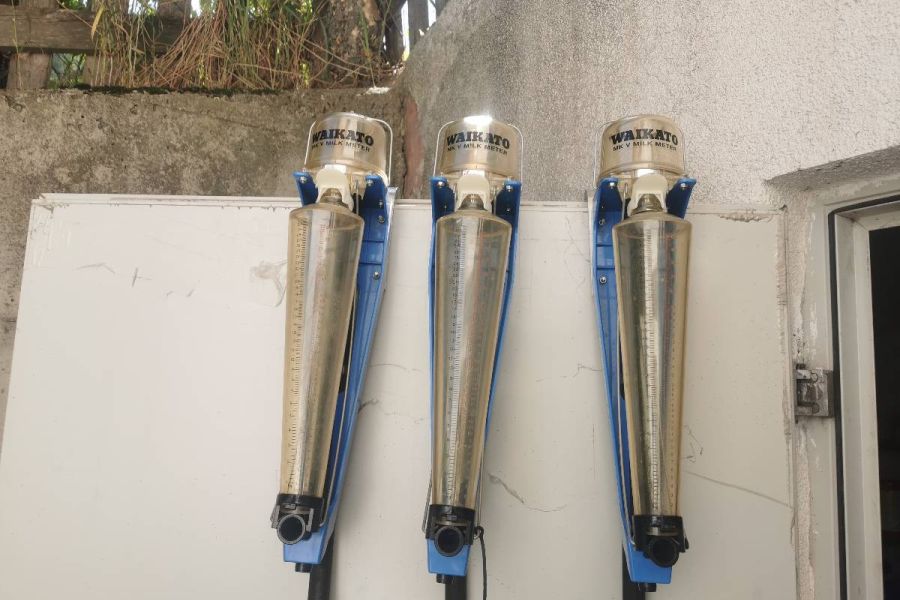 Rohrmelkanlage mit Kühlaggregat und Milchtank zu verkaufen - Bild 2