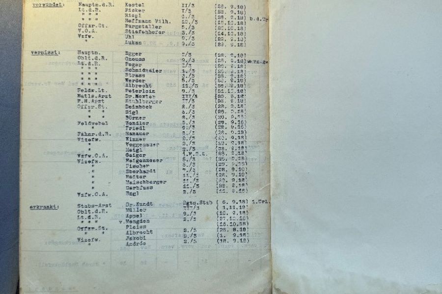 Kriegstagebücher 1 er Weltkrieg - Bild 2