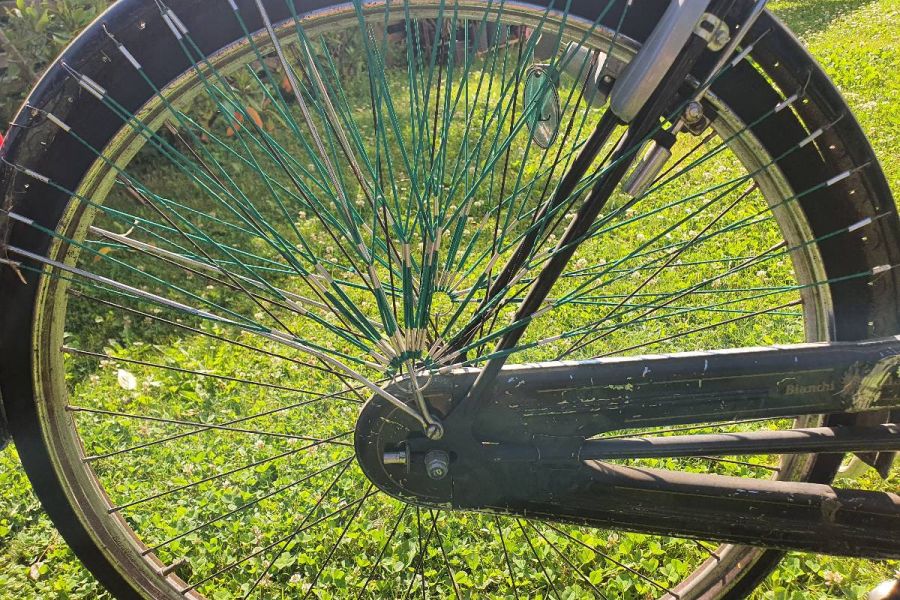 Vintage Damenfahrrad - Bild 2