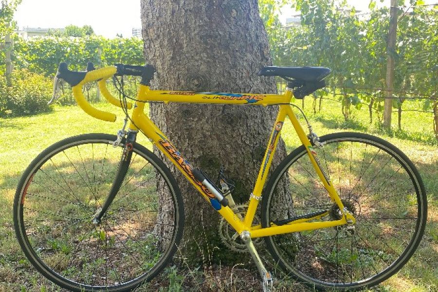Basso Olimpic Rennrad - Bild 5