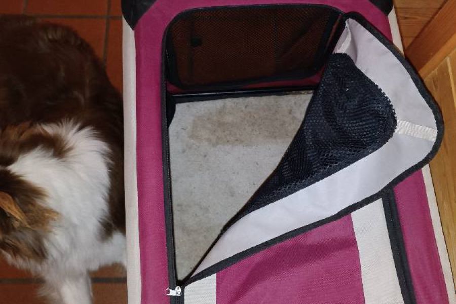 Hundebox zu verkaufen - Bild 2