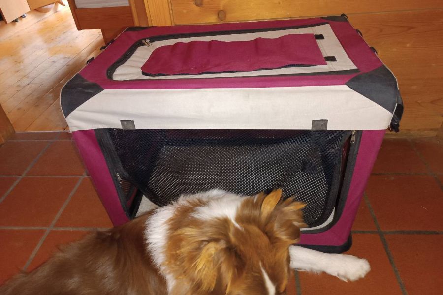 Hundebox zu verkaufen - Bild 3