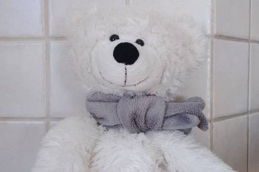 Eisbär Kuscheltier - Bild 1