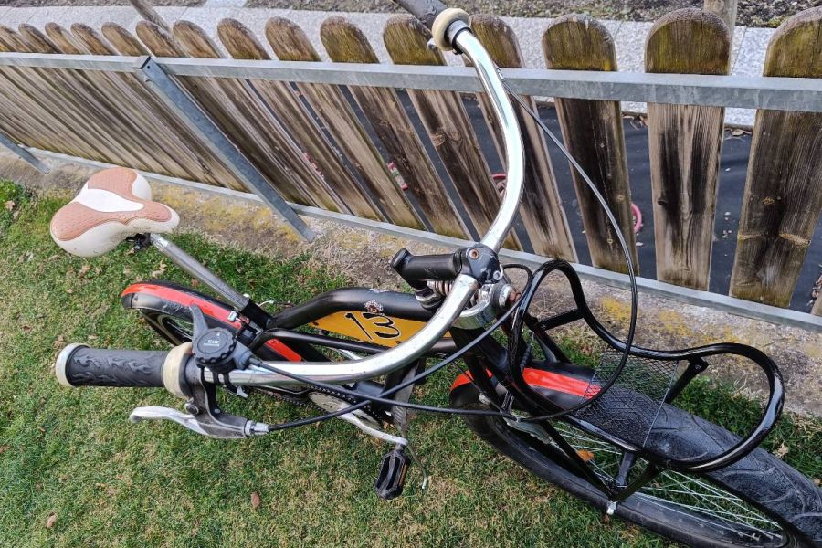 Kinderfahrrad bis 13 Jahre WILDE KERLE - Bild 3