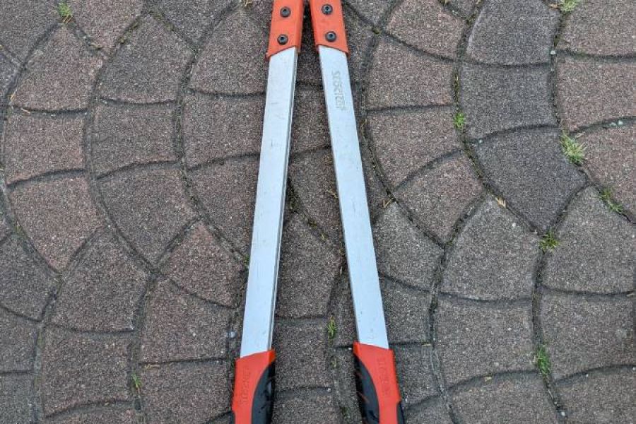 Große gute astschere - Bild 1