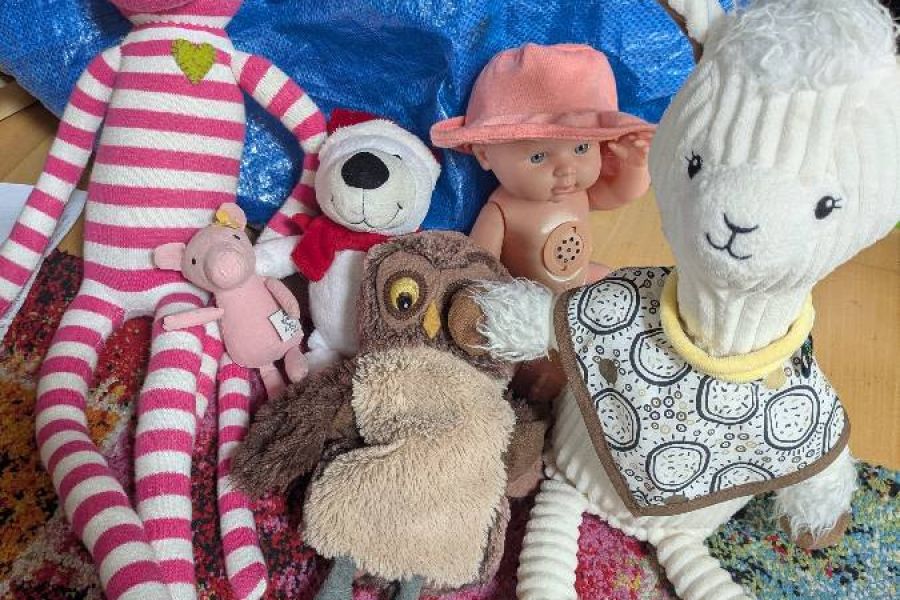 WC Sitz, Rucksack, Rechner, Kuscheltiere - Bild 3
