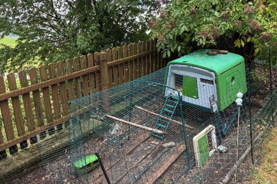 Verkaufe Omlet Hühnerstall (Preis verhandelbar) - Bild 1