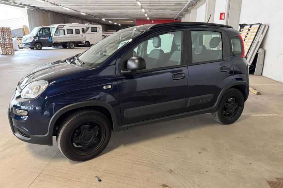 Fiat Panda 4x4 - Bild 2