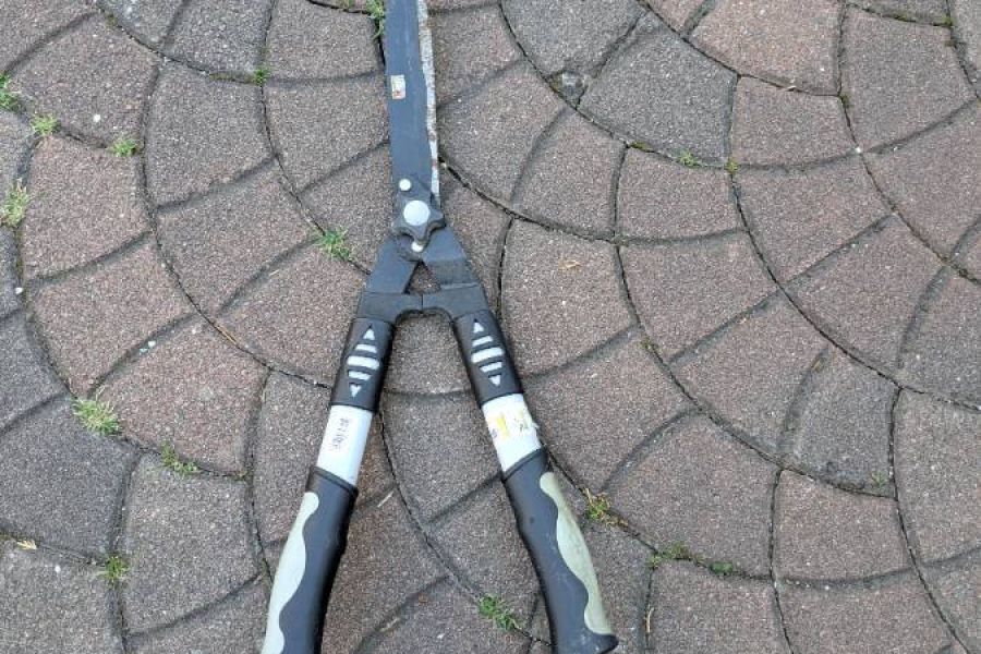 Heckenscheren profi - Bild 3