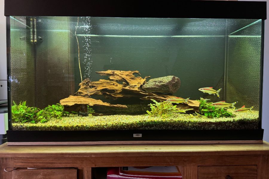 350 Liter Aquarium - Bild 1