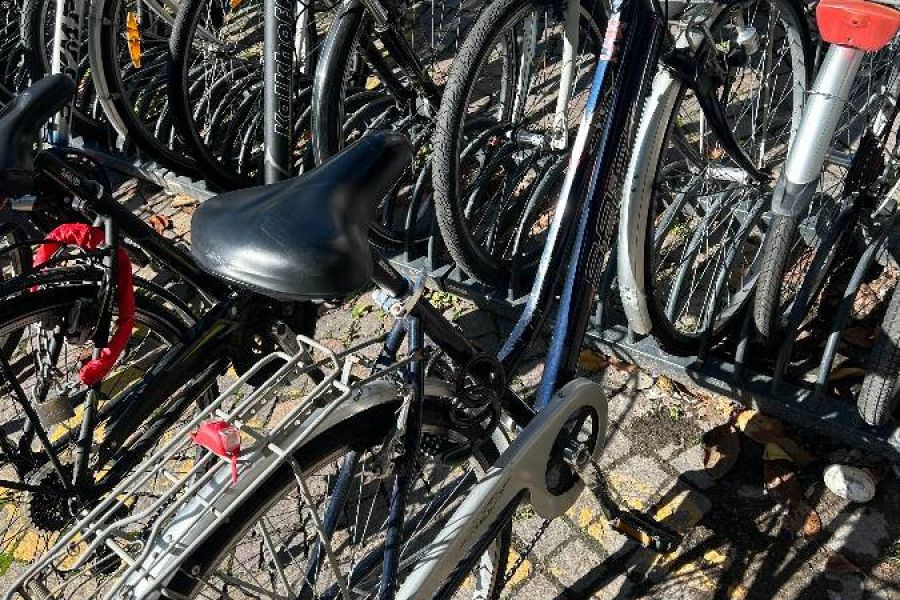 Damenfahrrad - Bild 5