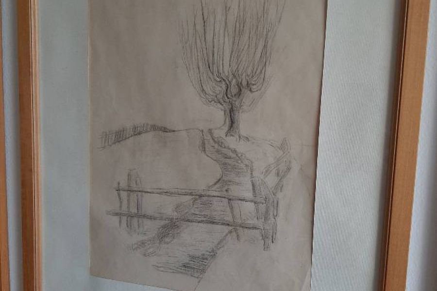 Maria Delago - Bild 4