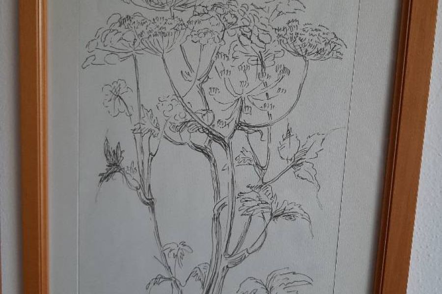 Maria Delago - Bild 5