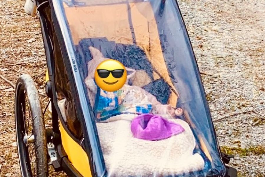 Thule Chariot Sport 1 Spectra Yellow - Bild 1