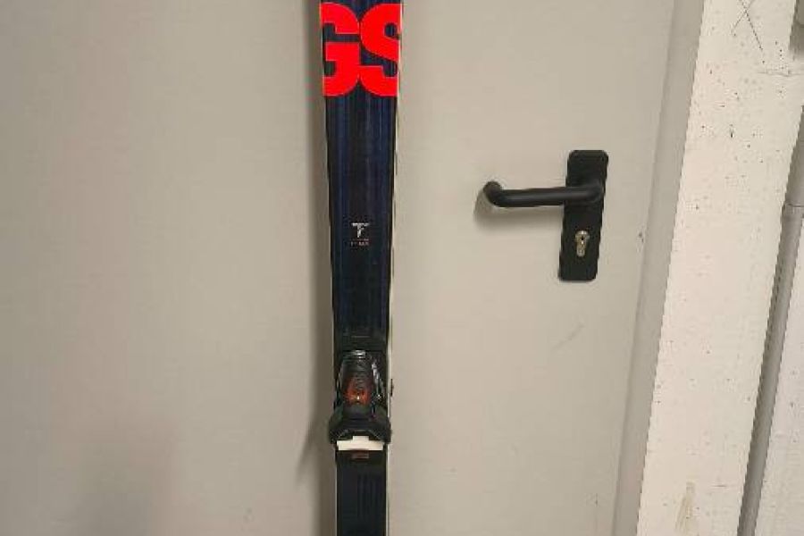 Rennski GS - Bild 1