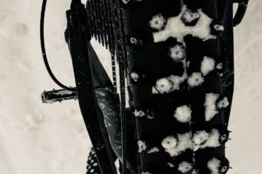 Mountain Bike Spitzing Evolution Bobby Root - Bild 2