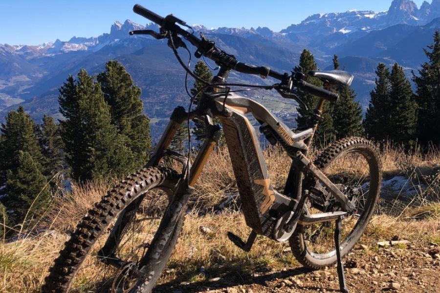 Mountain Bike Spitzing Evolution Bobby Root - Bild 3