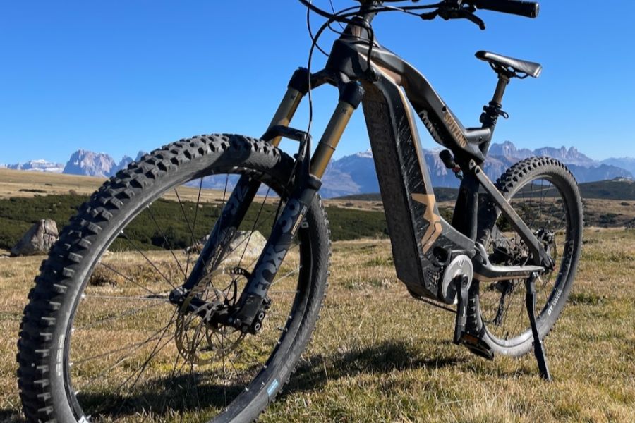 Mountain Bike Spitzing Evolution Bobby Root - Bild 1