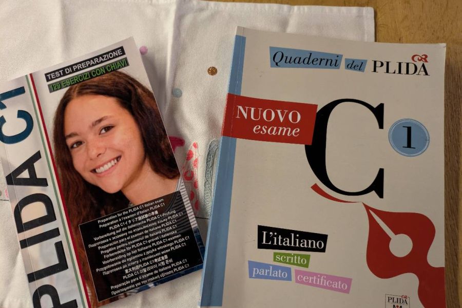 Vorbereitung Plida C1 - Bild 1
