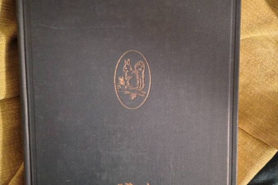 Brehms Tierleben - Bild 5