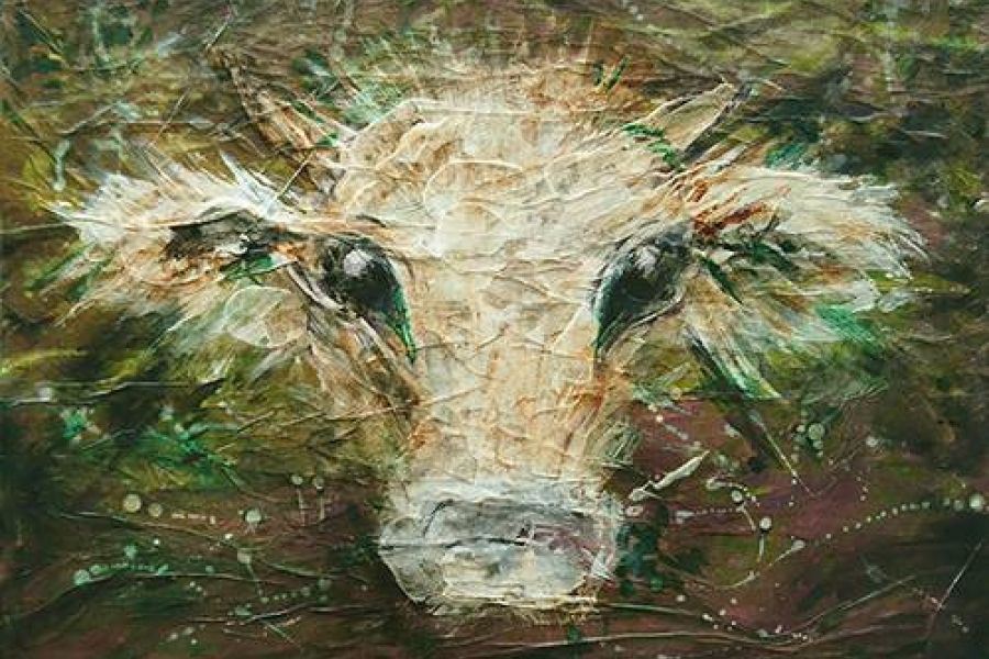 Kuh / Kälbchen Bild auf Leinwand - Bild 1