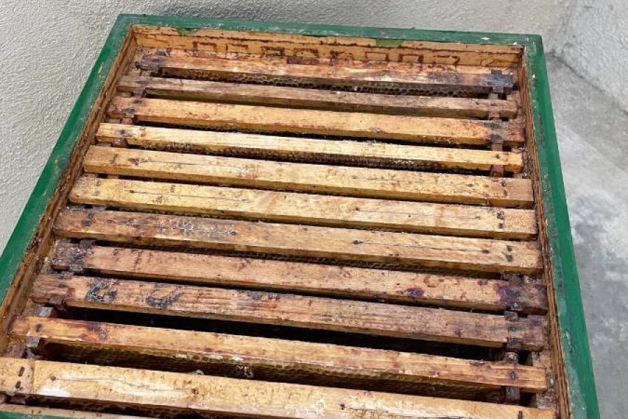 Bienenstöcke aus Zirbenholz zu verschenken - Bild 2