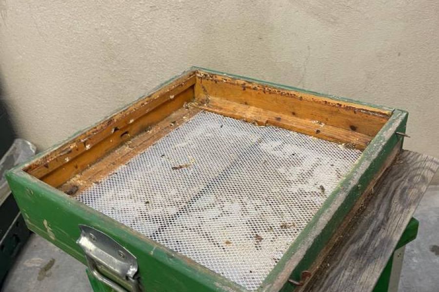 Bienenstöcke aus Zirbenholz zu verschenken - Bild 3