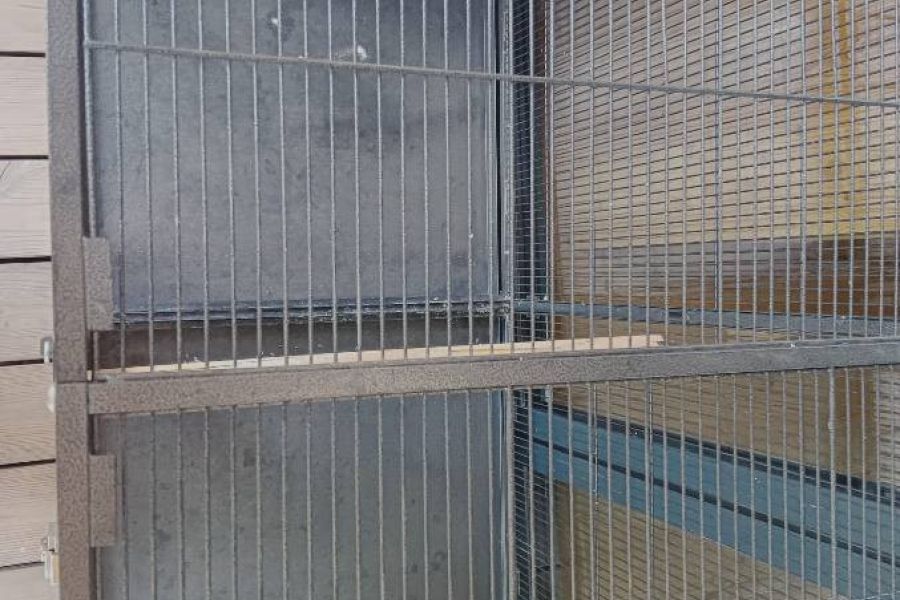 Vogel Käfig Wellensittich - Bild 2