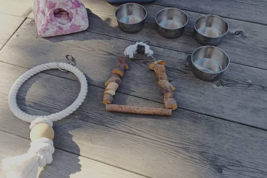 Vogel Käfig Wellensittich - Bild 3