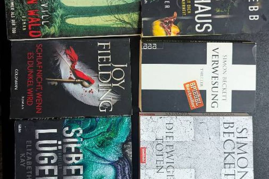 Bücherpaket 10 Thriller - Bild 1