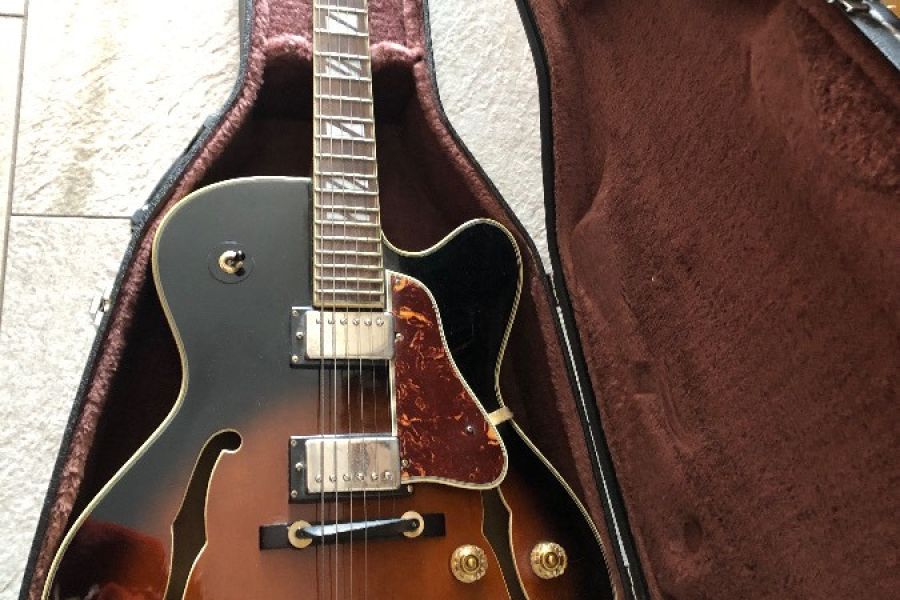 Sehr gute Jazzgitarre Aria Pro II zu verkaufen - Bild 1