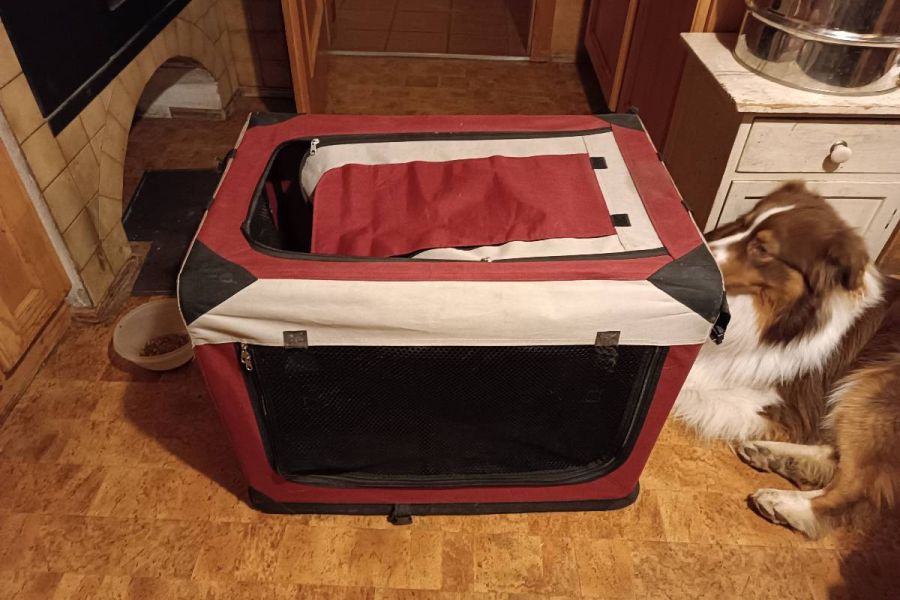 Hundebox zu verkaufen - Bild 1