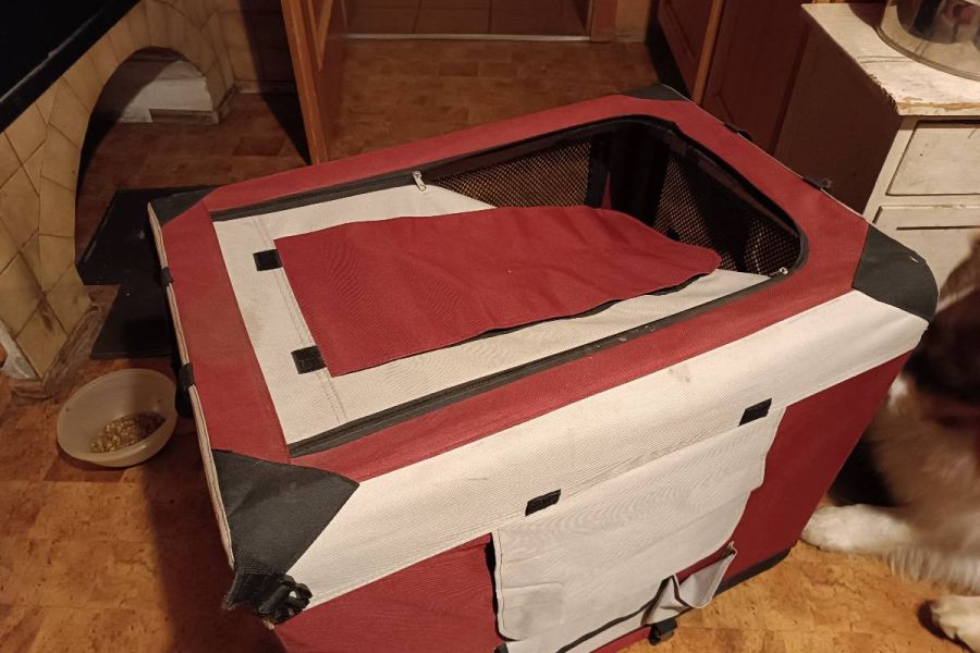 Hundebox zu verkaufen - Bild 2