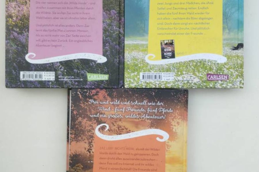 Wilde Horde – Buchset Band 1–3 von Katrin Tempel (Pferdeabenteuer) - Bild 3