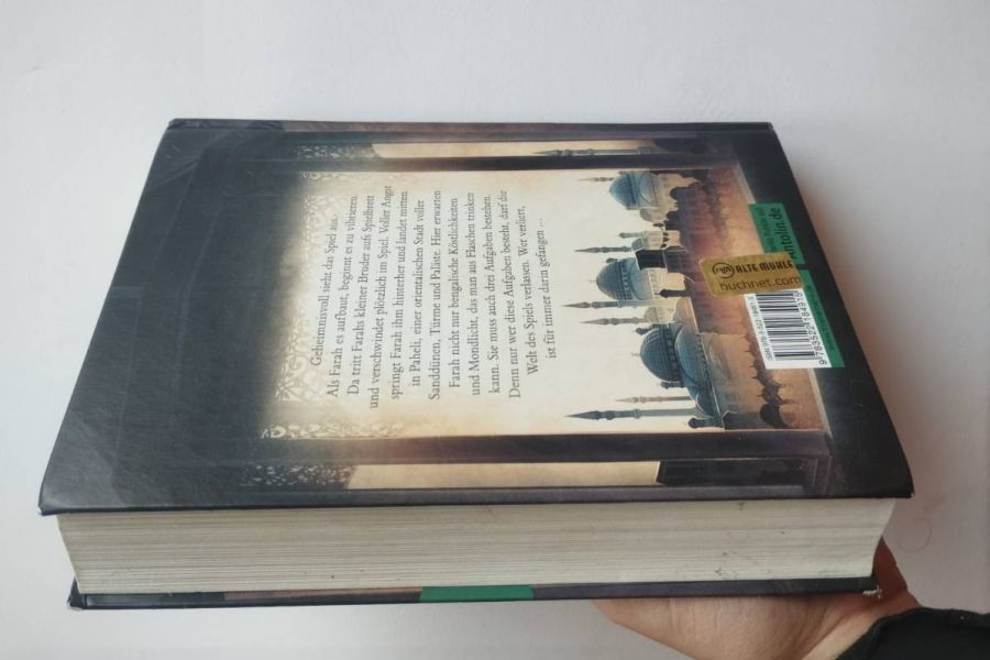 Paheli – Spiel um alles oder nichts von Karuna Riazi (Fantasy/Abenteue - Bild 3