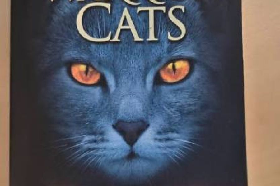 Warrior Cats. Geheimnis des Waldes - Bild 1