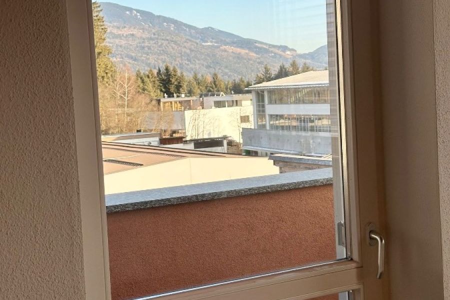 Fenster in Top-Zustand – Isolierglas, Doppeldichtung, Brunner Fenster - Bild 3