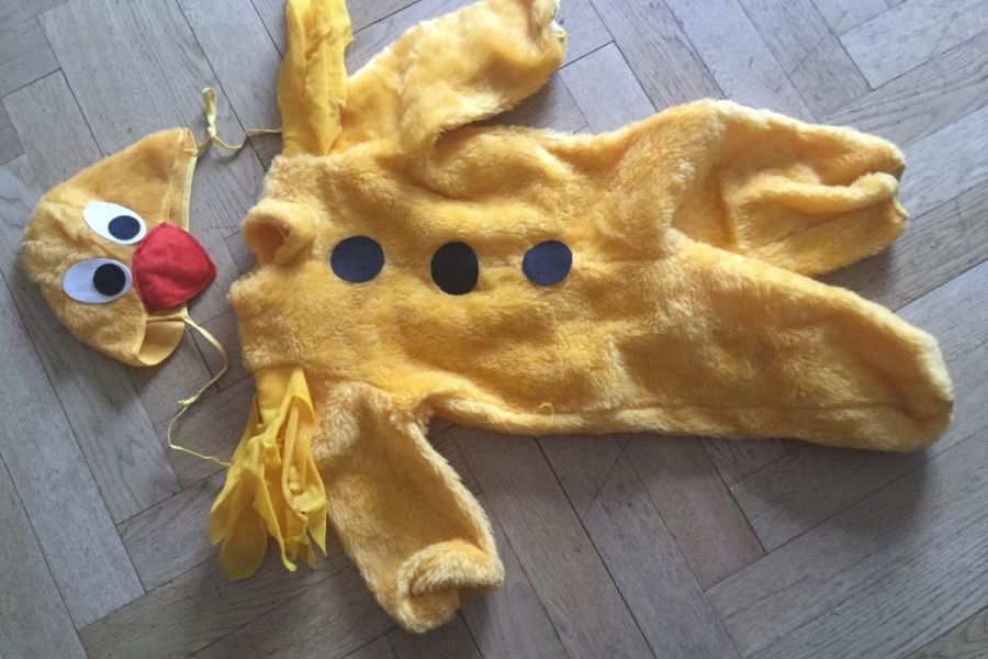 Kükenkostüm 2-teilig, praktisch und warm - Bild 2