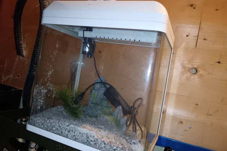 Aquarium.. - Bild 1